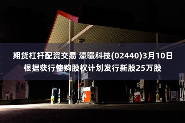 期货杠杆配资交易 濠暻科技(02440)3月10日根据获行使购股权计划发行新股25万股