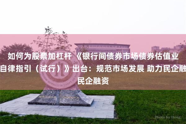 如何为股票加杠杆 《银行间债券市场债券估值业务自律指引（试行）》出台：规范市场发展 助力民企融资