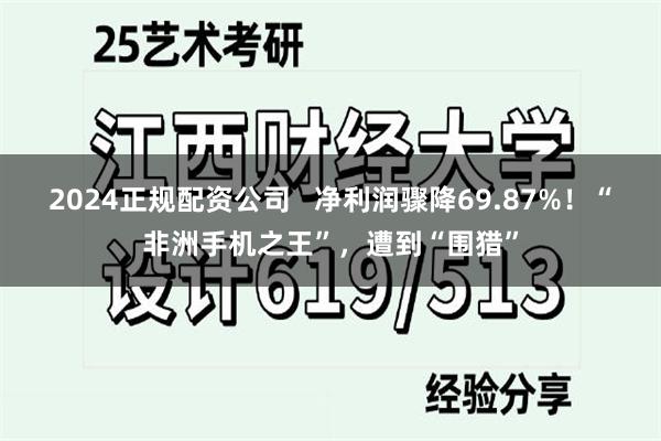 2024正规配资公司   净利润骤降69.87%！“非洲手机之王”，遭到“围猎”