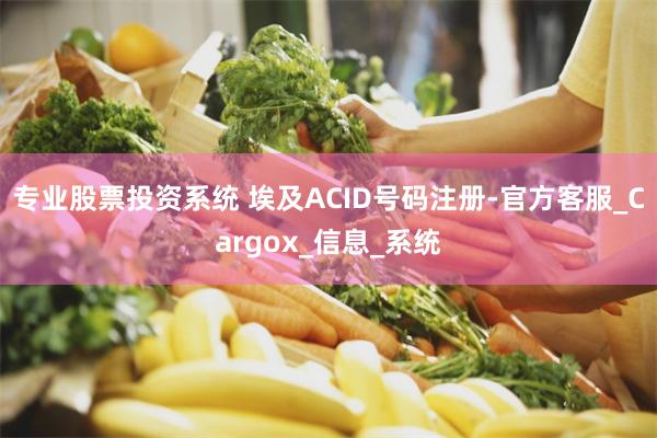 专业股票投资系统 埃及ACID号码注册-官方客服_Cargox_信息_系统