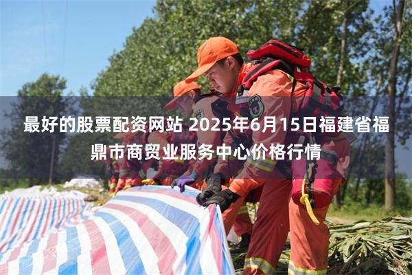 最好的股票配资网站 2025年6月15日福建省福鼎市商贸业服务中心价格行情