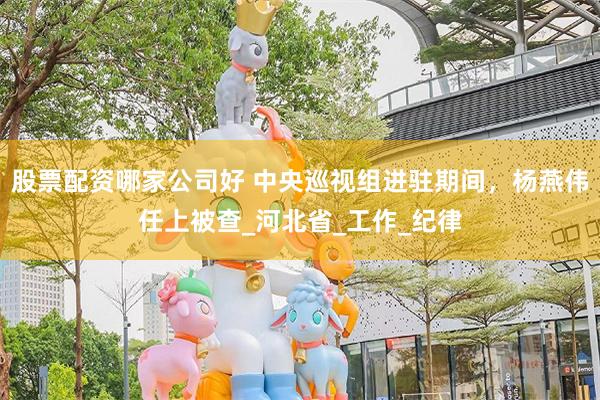 股票配资哪家公司好 中央巡视组进驻期间，杨燕伟任上被查_河北省_工作_纪律