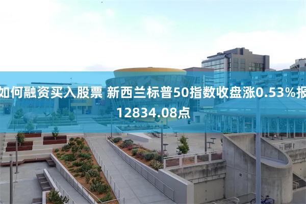 如何融资买入股票 新西兰标普50指数收盘涨0.53%报12834.08点