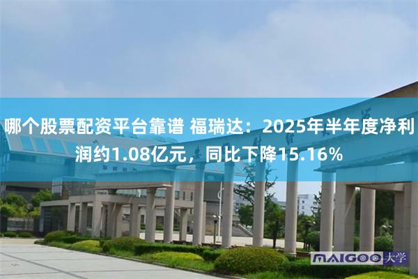 哪个股票配资平台靠谱 福瑞达：2025年半年度净利润约1.08亿元，同比下降15.16%
