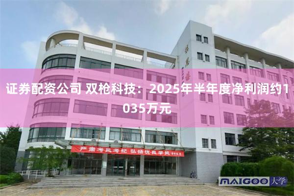 证券配资公司 双枪科技：2025年半年度净利润约1035万元