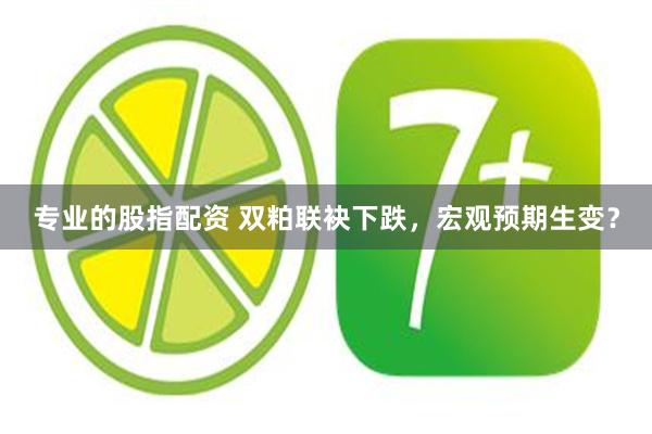 专业的股指配资 双粕联袂下跌，宏观预期生变？